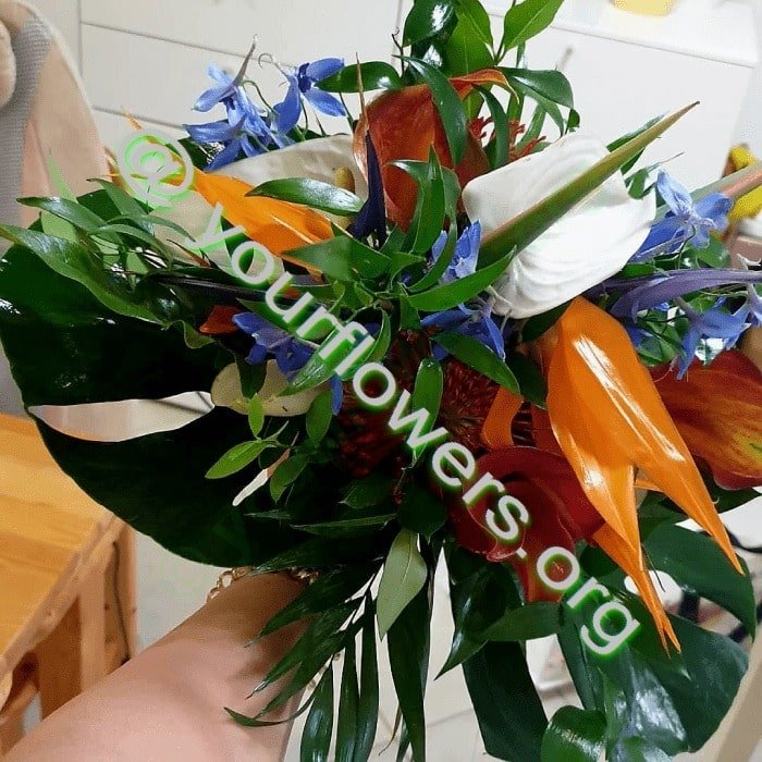 blumenlieferung - Ihr Blumenladen vor Ort. Blumenstrauß aus frischen Blumen auf Bestellung geliefert – Jetzt kaufen