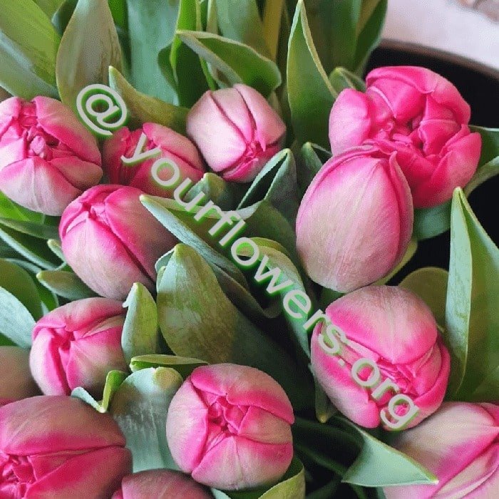 blumenlieferung - Ihr Blumenladen vor Ort. Blumenstrauß aus frischen Blumen auf Bestellung geliefert – Jetzt kaufen