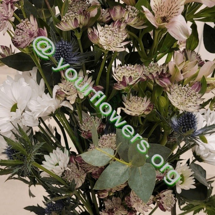 Blumen zum Geburtstag - Ihr Blumenladen vor Ort. Blumenstrauß aus frischen Blumen auf Bestellung geliefert – Jetzt kaufen